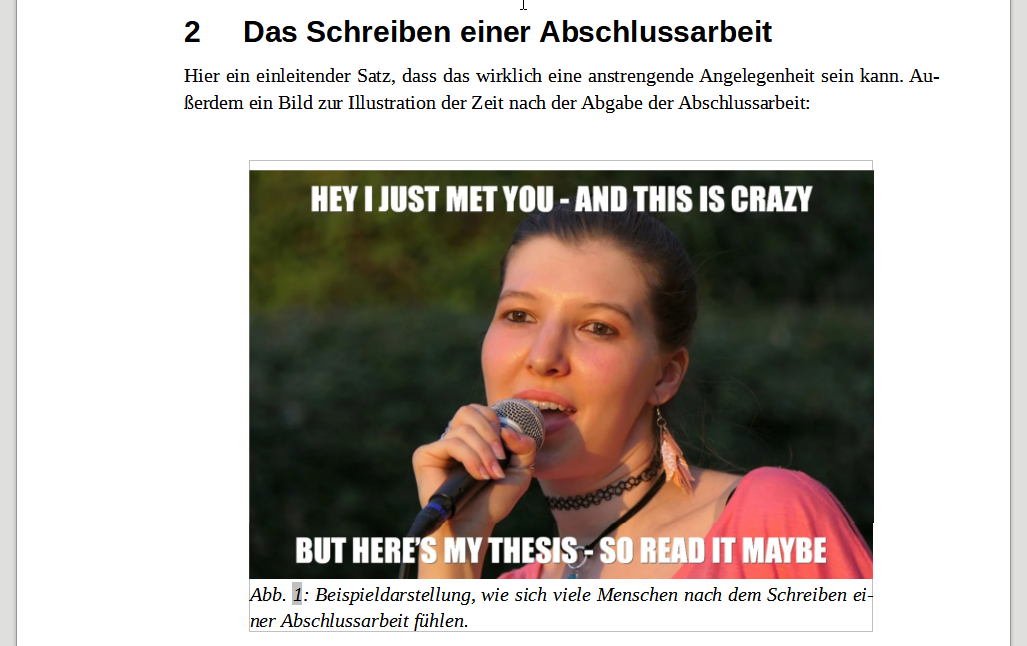 Bild mit Unterschrift im Text